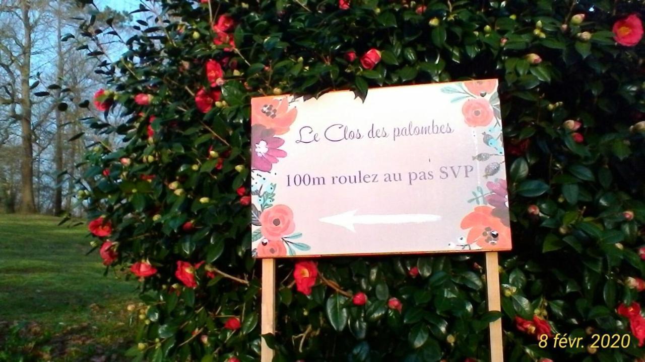 Le Clos Des Palombes Wifi Climatisation Saint-Pierre-du-Mont  Kültér fotó