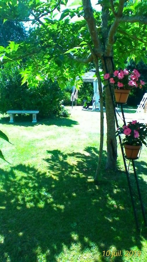 Le Clos Des Palombes Wifi Climatisation Saint-Pierre-du-Mont  Kültér fotó